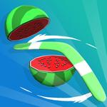 Cover for Boomerang King