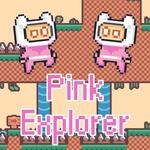 Cover for Pink Explorer