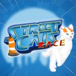 Cover for Street Cats Race