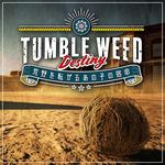 Cover for Tumbleweed Destiny